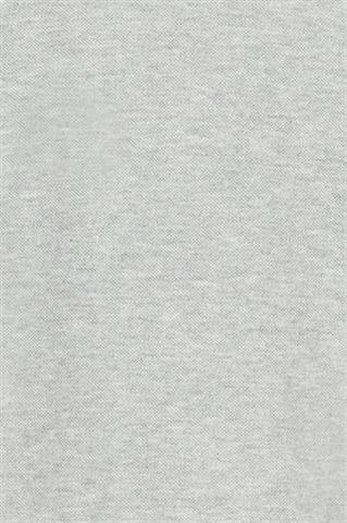 DL0001.POLO.KOŁNIERZ.BD.Szare.73874_M - 138191