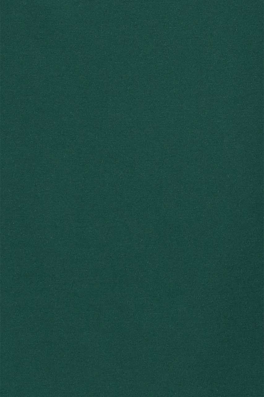 26084909557_(T)