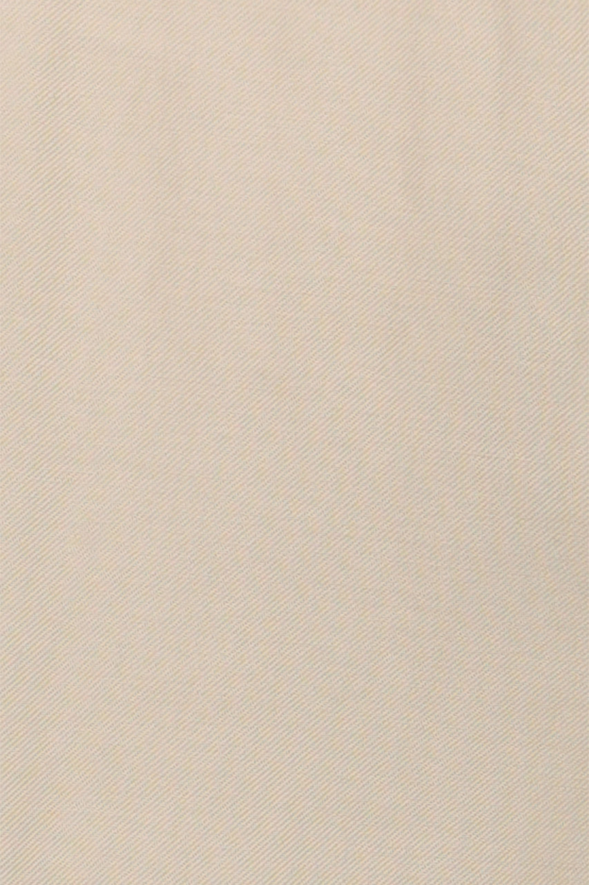 25685080557_(T)