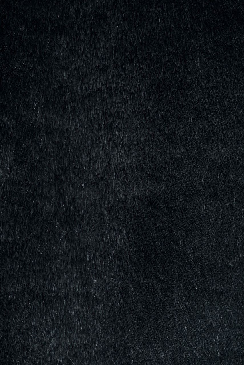 24284027_(2)