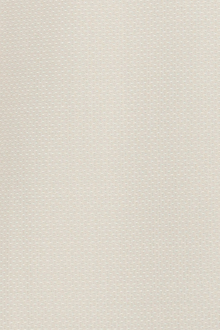 20234938911_(T)