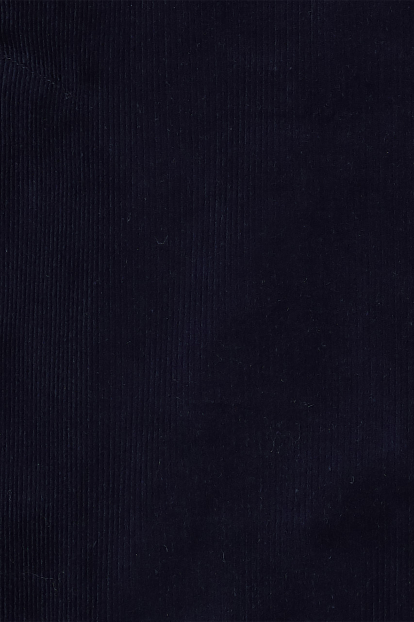 21649041056_(T)