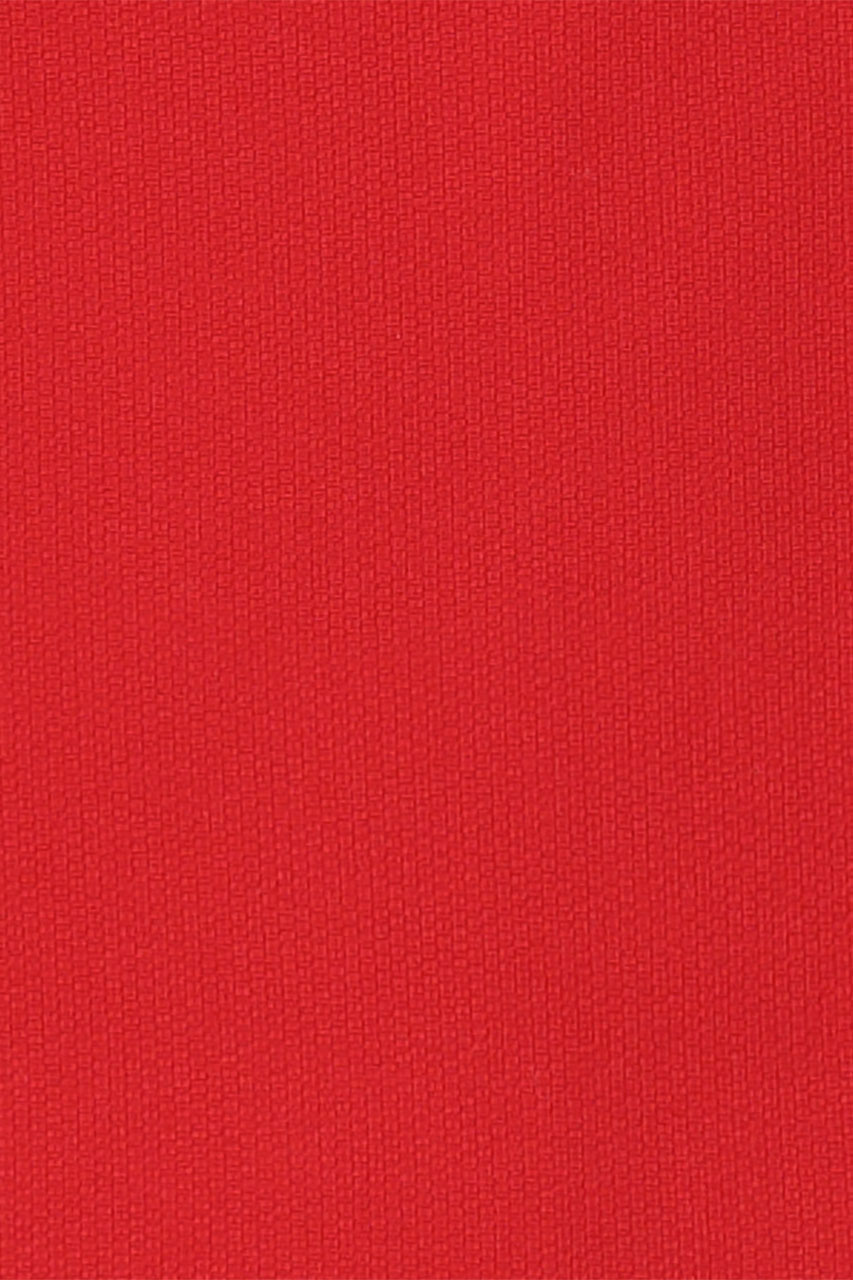 23985219557_(T)