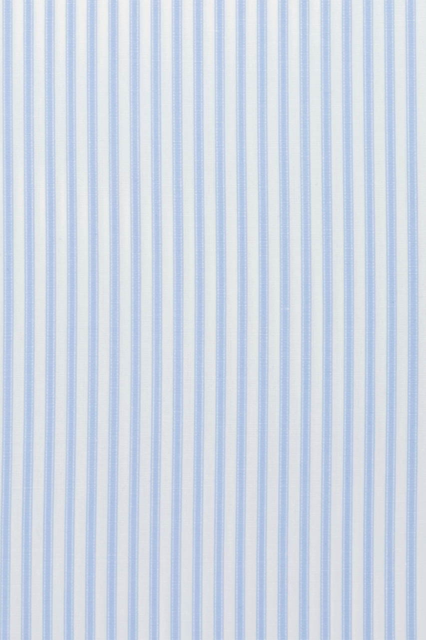 20393082173_(T)
