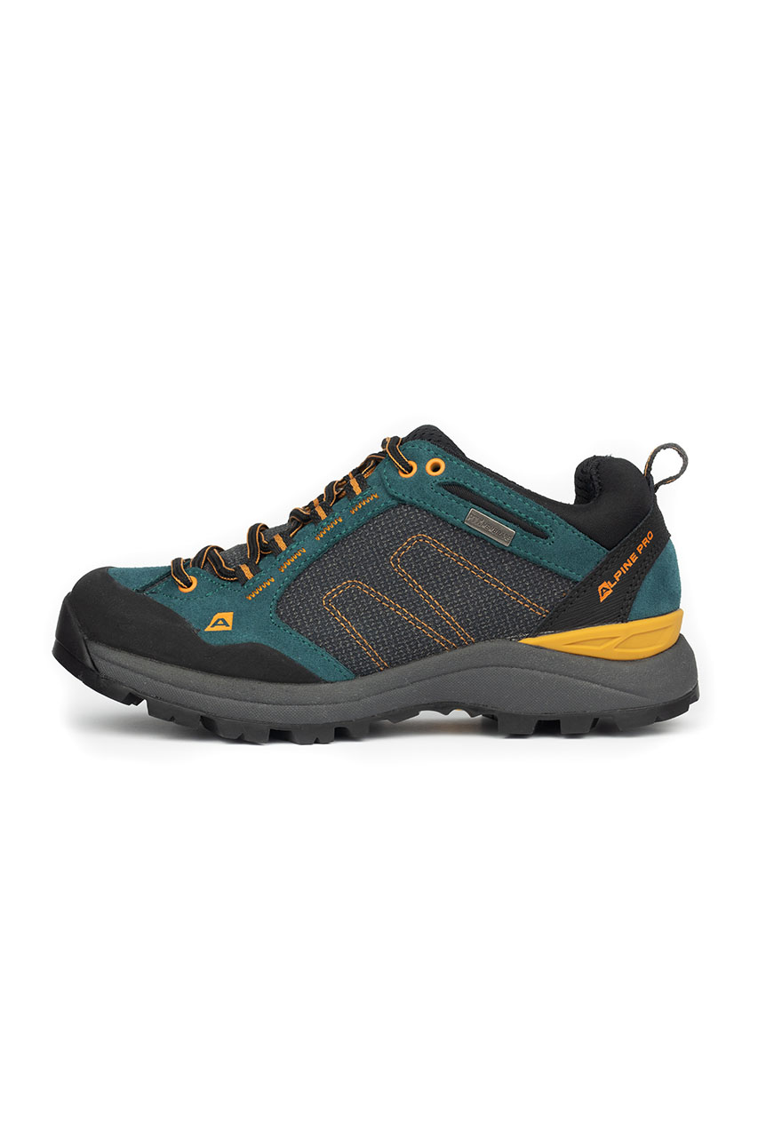 Alpine Pro_0004s_0008_TIMA