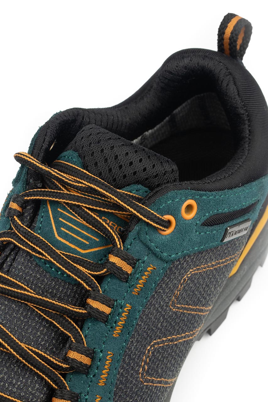 Alpine Pro_0004s_0005_TIMA