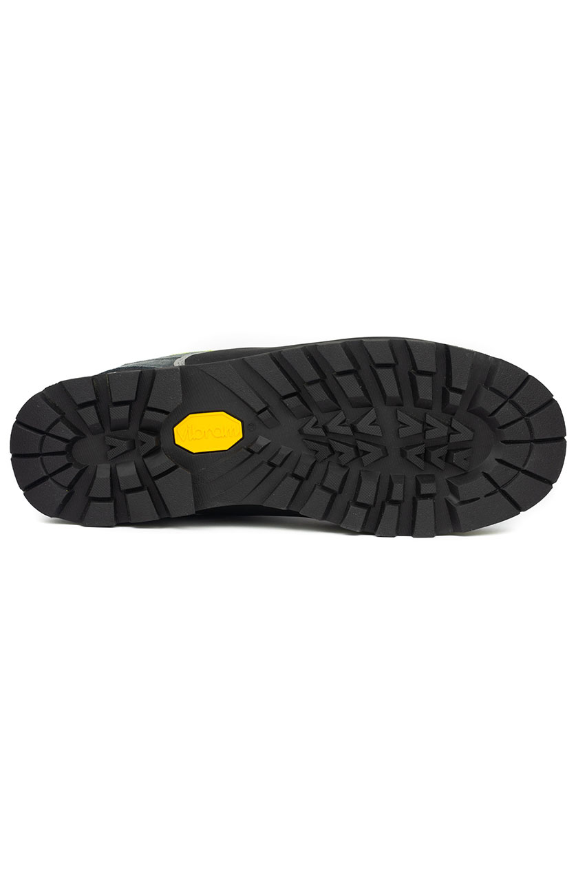 Alpine Pro_0000s_0004_Karem Neon