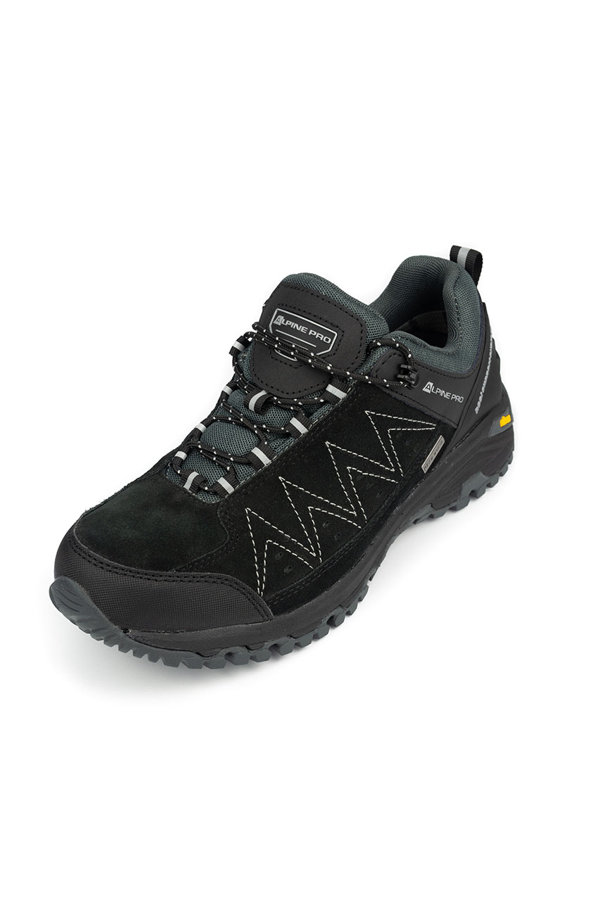 Alpine Pro_0003s_0008_ROMER