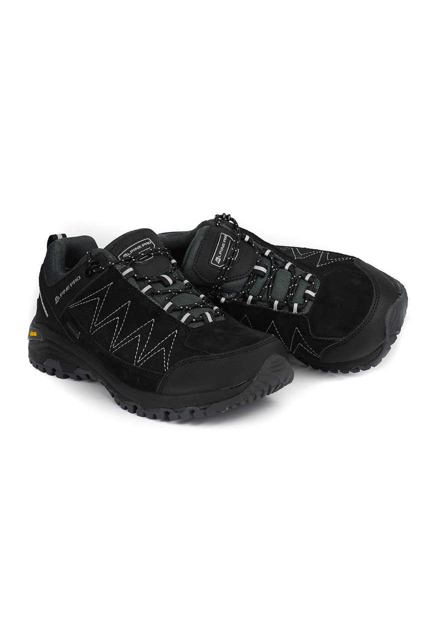 Alpine Pro_0003s_0002_ROMER