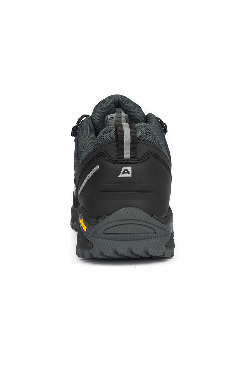 Alpine Pro_0003s_0000_ROMER