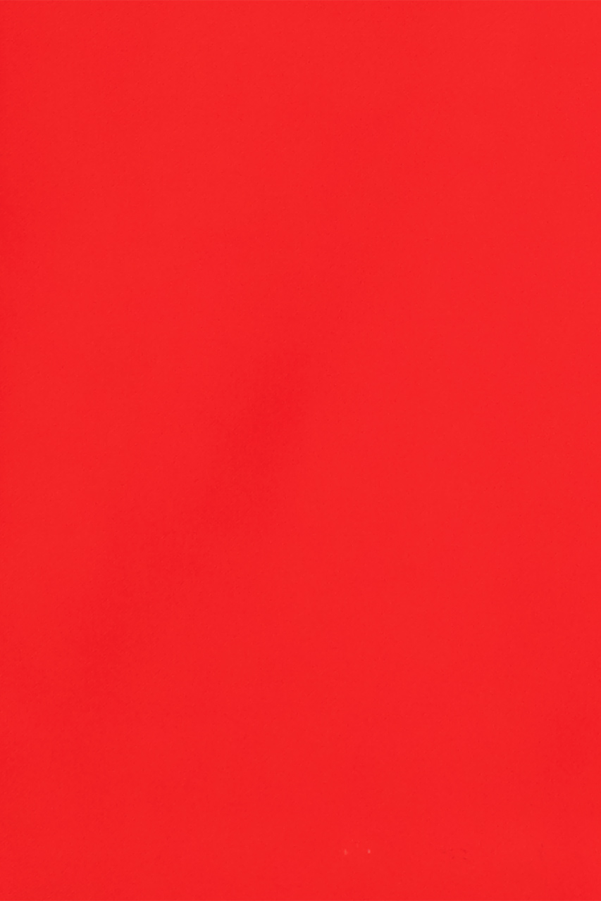26085875558 (T)
