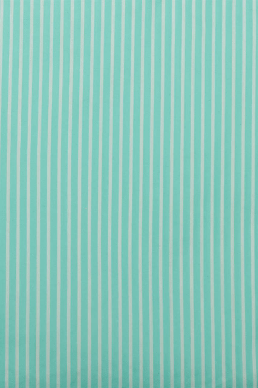 20392200169 (T)