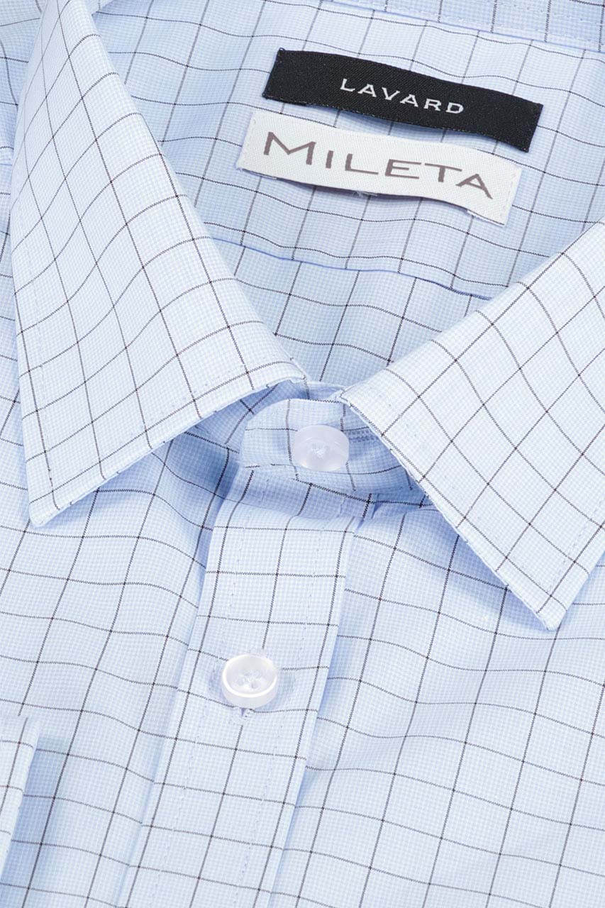 20393245173 (4)