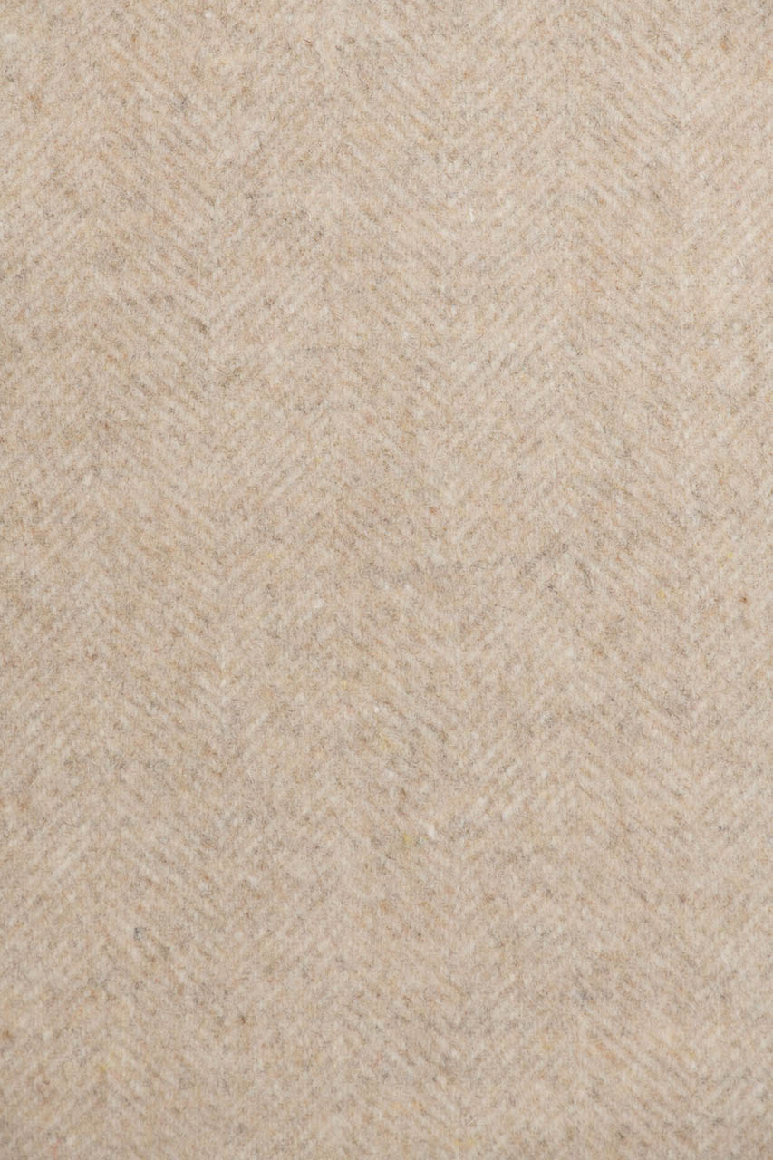 24284031557_(T)