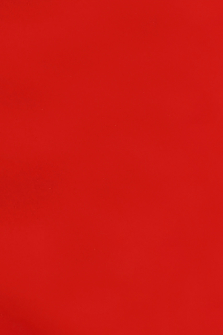25685913557 (T)