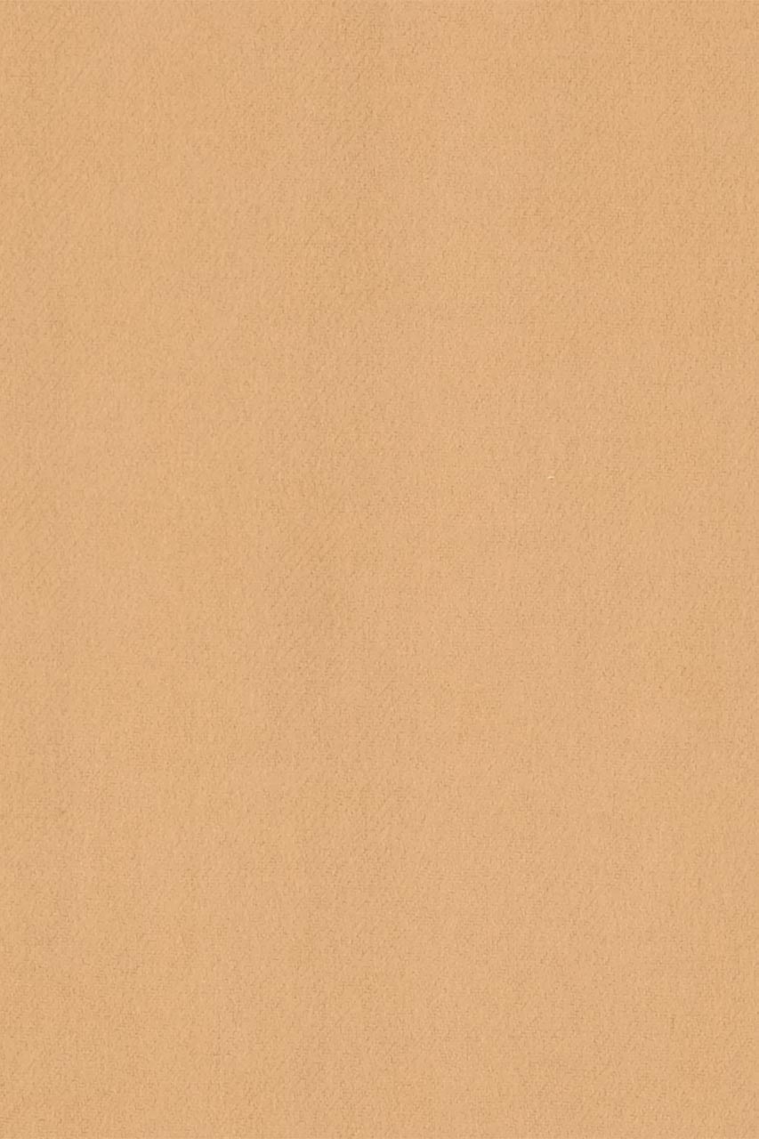 26286169_(T)