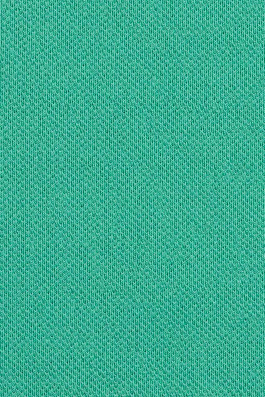 20872895812_(T)