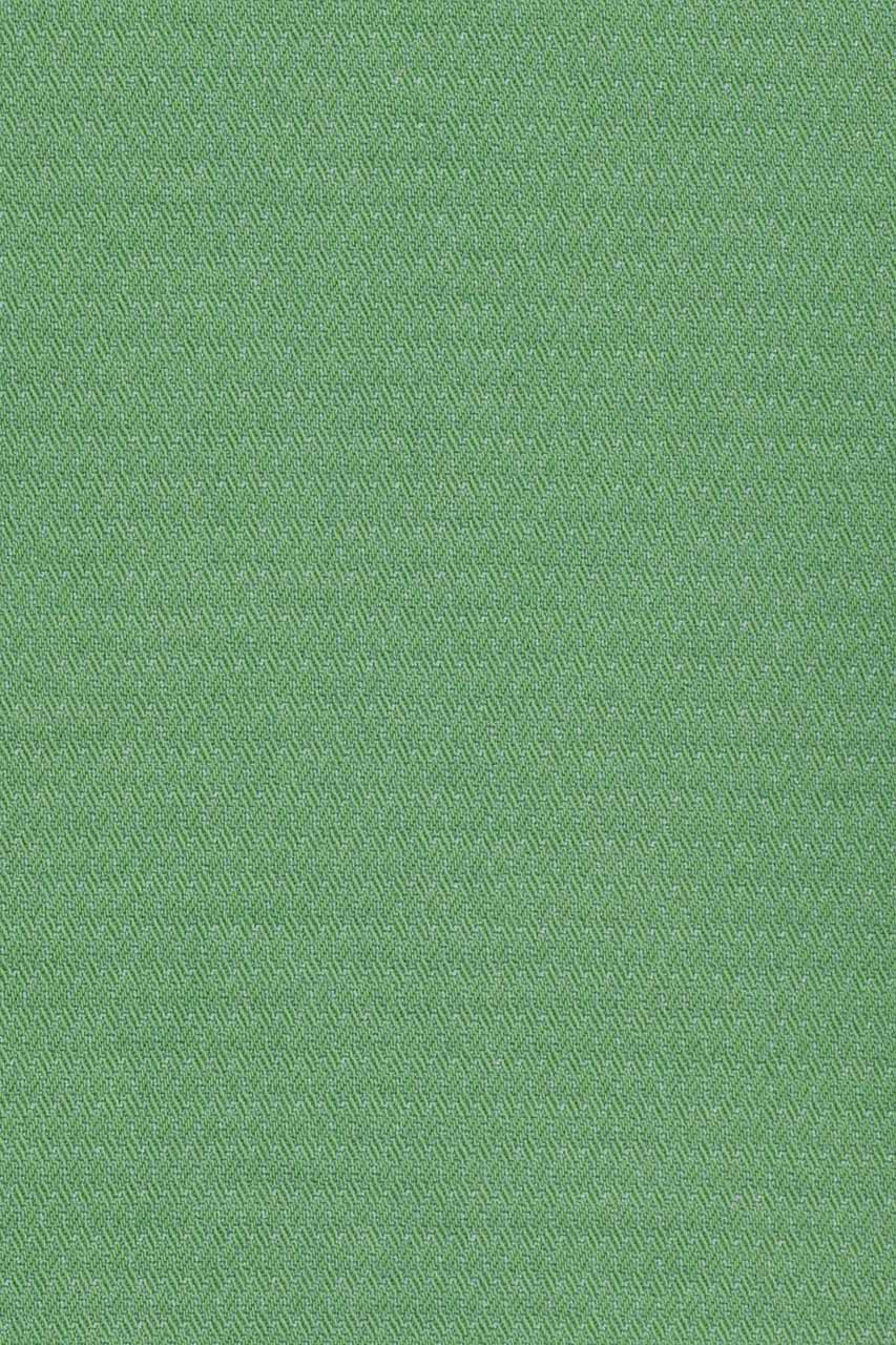 21560139980_(T)